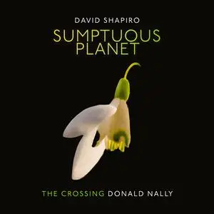 The Crossing & Donald Nally - David Shapiro: Sumptuous Planet (A Secular Mass) (2023) [Official Digital Download 24/96]