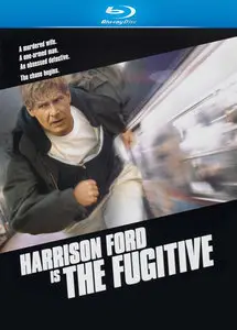 The Fugitive / Auf der Flucht (1993)