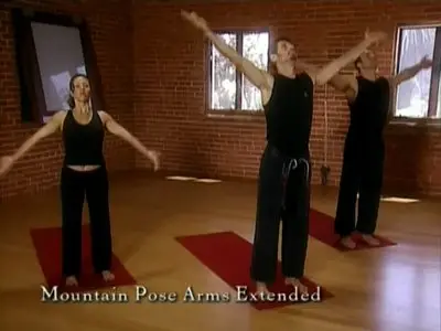 Cameron Shayne - Budokon DVD Set (2007)