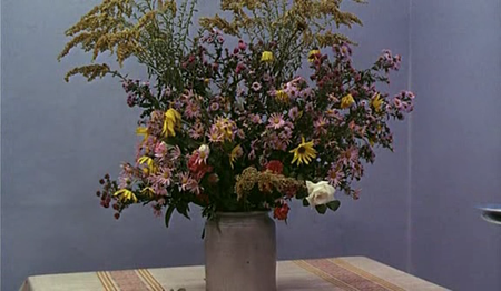 Agnès Varda-Le Bonheur (1965)
