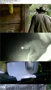 BBC - I Bought a Rainforest (2014)