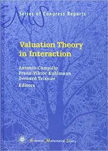 Valuation Theory in Interaction