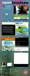 Brochure for business project