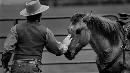 BBC Storyville - Buck: The Real Horse Whisperer (2013)