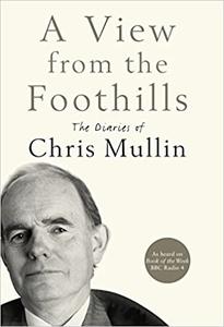 A View From The Foothills: The Diaries of Chris Mullin
