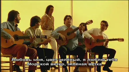 Flamenco (de Carlos Saura) (1995)