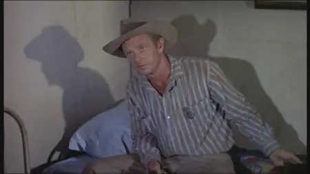 Shotgun / Amour, fleur sauvage (1955)