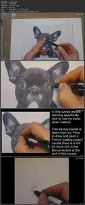 Tracing for drawing and painting a dog portrait how to trace