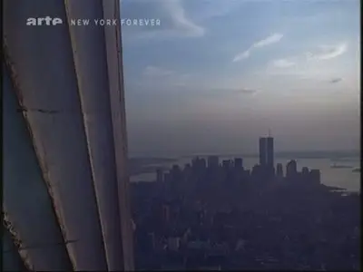 (Arte) Histoire de New York (2011)