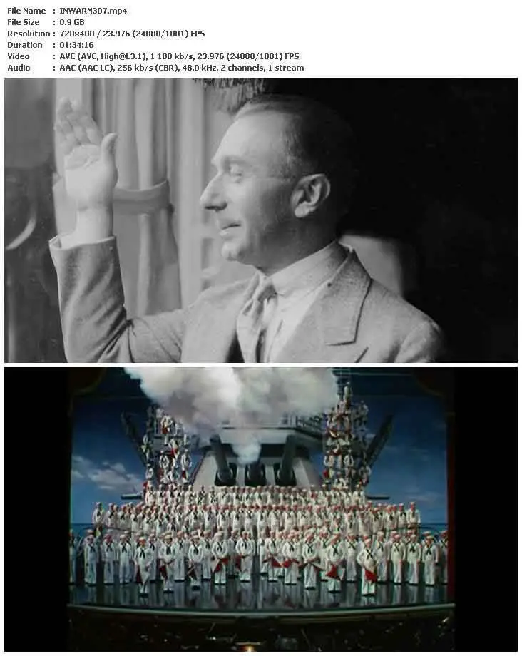 The Brothers Warner (2007)