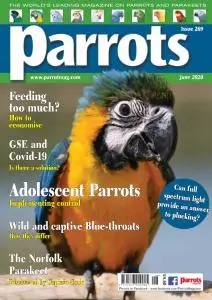 Parrots - June 2020