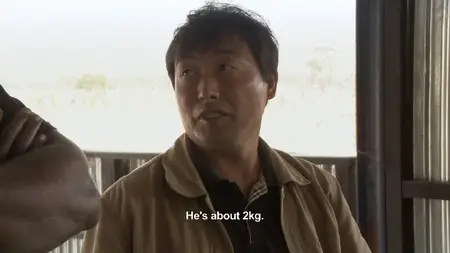 Empire of Dust (2011)