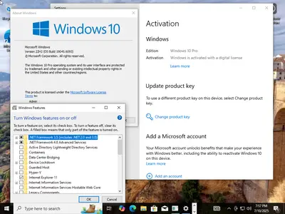 Windows 10 Pro 22H2 build 19045.6093 Preactivated Multilingual July 2025
