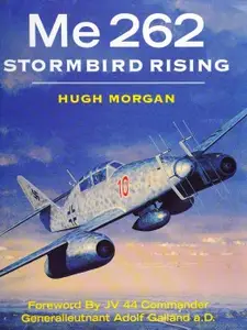 Me 262 Stormbird Rising
