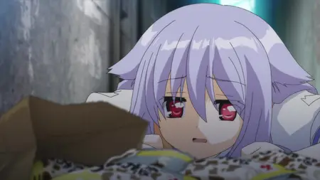Stray Cats Overrun! (2010 S00E04 Stray Cats Theater 4 Tsundere