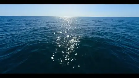 Our Oceans S01E01