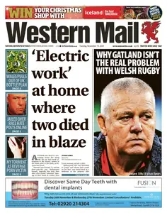 Western Mail - 19 November 2024