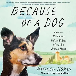 Because of a Dog: How an Enchanted Italian Village Mended a Broken Heart [Audiobook]