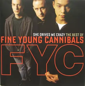 Fine Young Cannibals - She Drives Me Crazy: The Best Of (2008)