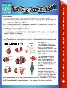 «Urogenital System (Speedy Study Guides)» by Speedy Publishing