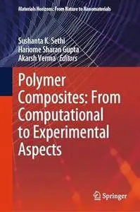 Polymer Composites: From Computational to Experimental Aspects