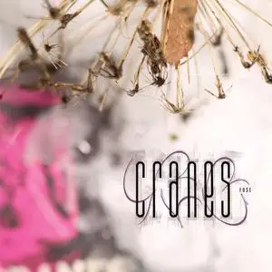 Cranes - Fuse (2024)