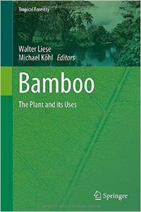 Bamboo: The Plant and its Uses