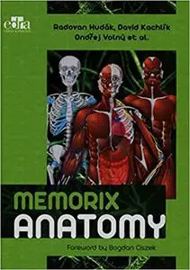 Memorix Anatomy