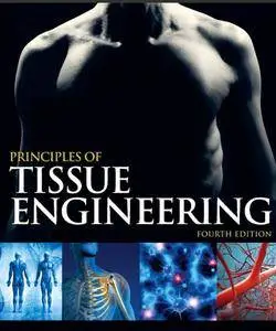 Principles of Tissue Engineering