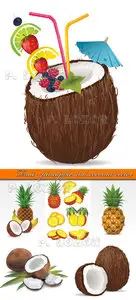 Fruit - pineapple and coconut vector