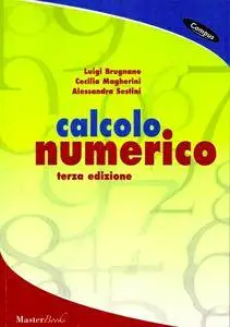 Luigi Brugnano, Cecilia Magherini, Alessandra Sestini, "Calcolo numerico"