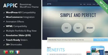 ThemeForest - Appic v1.2.10 - Business & Technology WordPress Theme