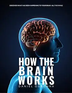 How The Human Brain Works: Discover How The Human Brain Is Built