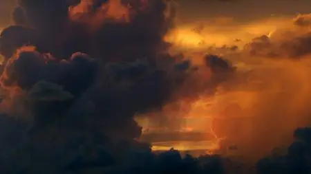 PBS - NATURE: Wild Florida (2020)