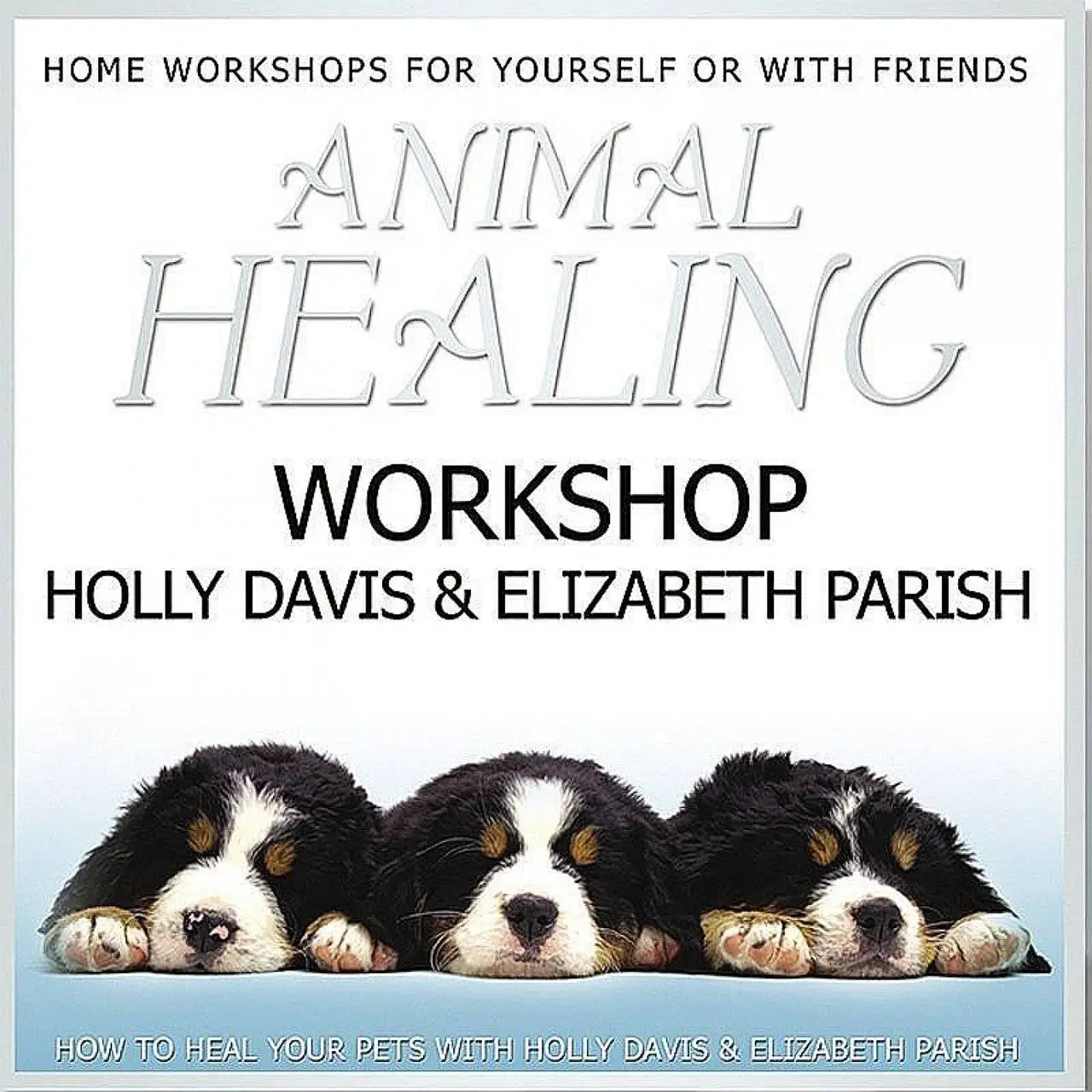 Holly Davis - Animal Healing Workshop (2006)