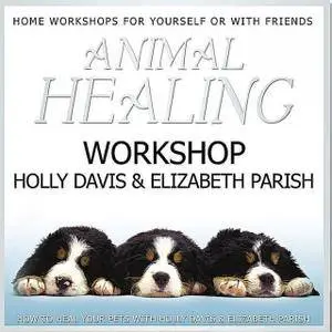 Holly Davis - Animal Healing Workshop (2006)