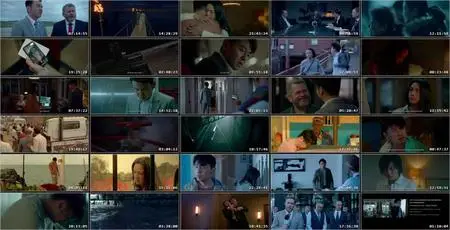 The Whistleblower (2019)