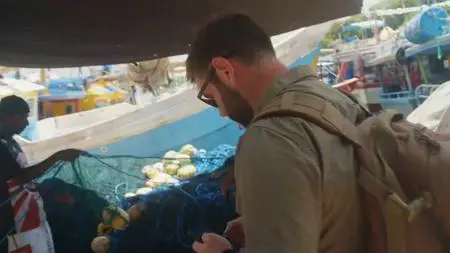 Discovery Channel Shark Week - Extinct or Alive: The Lost Shark (2019)