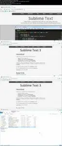 Sublime Text Editor Rapid Development Amazing Plugins