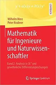 Mathematik für Ingenieure und Naturwissenschaftler: Band 2: Analysis in R^n und gewöhnliche Differentialgleichungen (Repost)