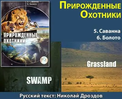 Прирожденные охотники. Диск 3