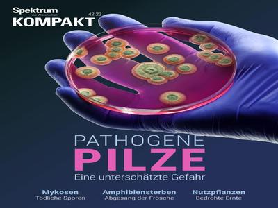 Spektrum Kompakt - Pathogene Pilze - 25 Oktober 2023