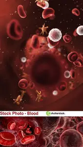 Stock Photo - Blood
