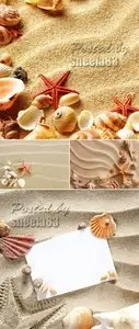 Stock Photo - Beach Sand & Seashells