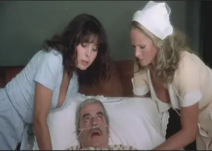 The Sensuous Nurse (1975)