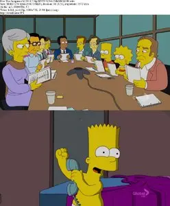 The Simpsons S22E14