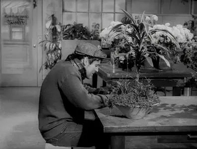 The Little Shop of Horrors (1960)