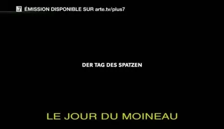 (Arte) Le jour du moineau (2011)