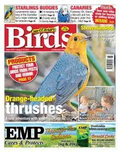 Cage & Aviary Birds - 16 August 2017