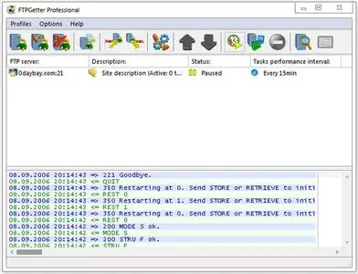 FTPGetter Professional 5.97.0.165 + Portable